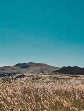 Тур «Треккинг по полуострову Краббе»