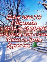 Праздничная программа «Новый Год в Шмаковке»