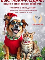 Благотворительная выставка-раздача кошек и собак