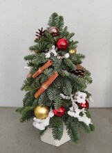 Новогодний мастер-класс по флористике «Ёлочка в горшочке»