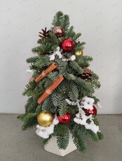 Новогодний мастер-класс по флористике «Ёлочка в горшочке»