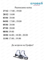 Катание на коньках в Арене "Ерофей"