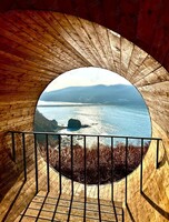 Тур «Кедровый бор, Тропа осьминога и горячий бассейн»