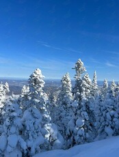 Тур «Гора Голец»