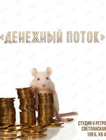 Игра «Денежный поток»