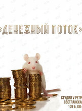 Игра «Денежный поток»