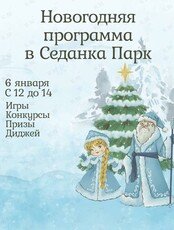 Новогодняя программа