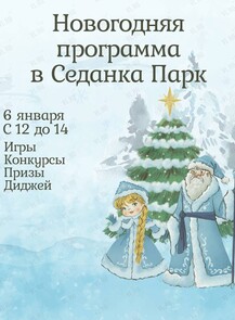 Новогодняя программа