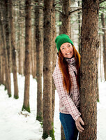 Поход к сосновому бору