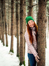 Поход к сосновому бору