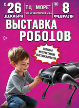 Выставка роботов и виртуальной реальности «Федерация роботов»