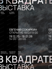 Выставка "В квадрате" Евгения Сокиркина