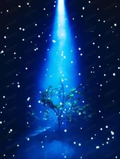 Спектакль "Любовь и голуби". Премьера! (НА СЦЕНЕ ДК ПРОФСОЮЗОВ)