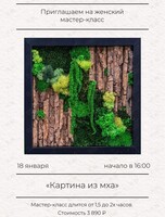 Мастер-класс в формате девичника «Картина из мха»
