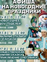 Новогодние программы