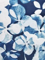 Мастер-класс «Цианотипия»