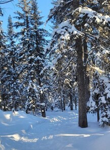 Прогулка для новичков на Черничную гору