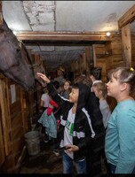 Экскурсия в конный клуб "Зевс"
