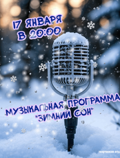 Музыкальная вечеринка "Зимний сон"
