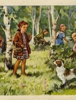 Познавательная программа «Лесной университет»