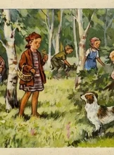 Познавательная программа «Лесной университет»