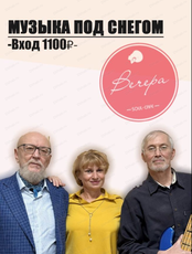 Концертная программа "Музыка под снегом"