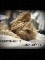 Квартирник в "ДоброДепо"