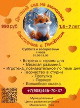 Выходные с лисенком