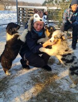 Тур-обнимашка + катание на собачьих упряжках