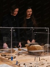 Экскурсия по выставке "Читая археологию"