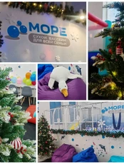 Развлекательная программа «Веселье в сухом бассейне всей семьёй»