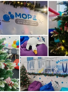 Развлекательная программа «Веселье в сухом бассейне всей семьёй»