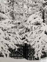 Мастер-класс "Снег в черно-белой графике"