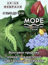 Выставка-продажа комнатных растений