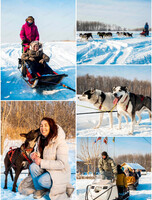 Большие снежные катания: собачьи упряжки + снегоход + баня и шашлыки