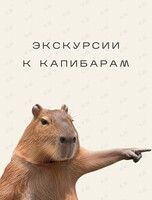 Экскурсия к капибарам