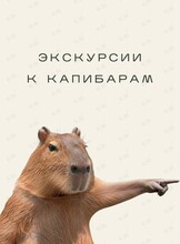 Экскурсия к капибарам