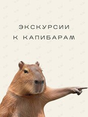 Экскурсия к капибарам