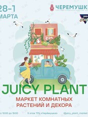 Маркет комнатных растений и декора Juicy Plant