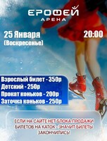 Катание на коньках в Арене "Ерофей"