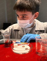 Интерактивная научная программа "Разрушители мифов"