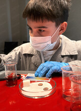 Интерактивная научная программа "Разрушители мифов"