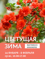 Выставка в оранжерее «Цветущая зима»