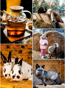 Масленица на мини-ферме