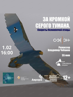 Кино в музее: "За кромкой серого тумана. Секреты белоплечей птицы"