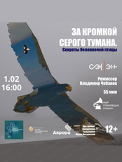 Кино в музее: "За кромкой серого тумана. Секреты белоплечей птицы"