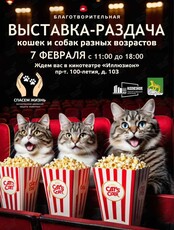 Благотворительная выставка-раздача кошек и собак