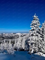 Восхождение на гору Таунга