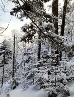 Восхождение на гору Фалаза