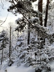 Восхождение на гору Фалаза